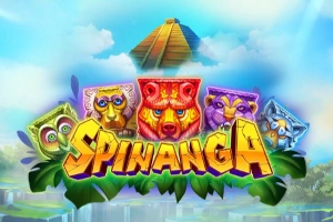 Арт слота Spinanga